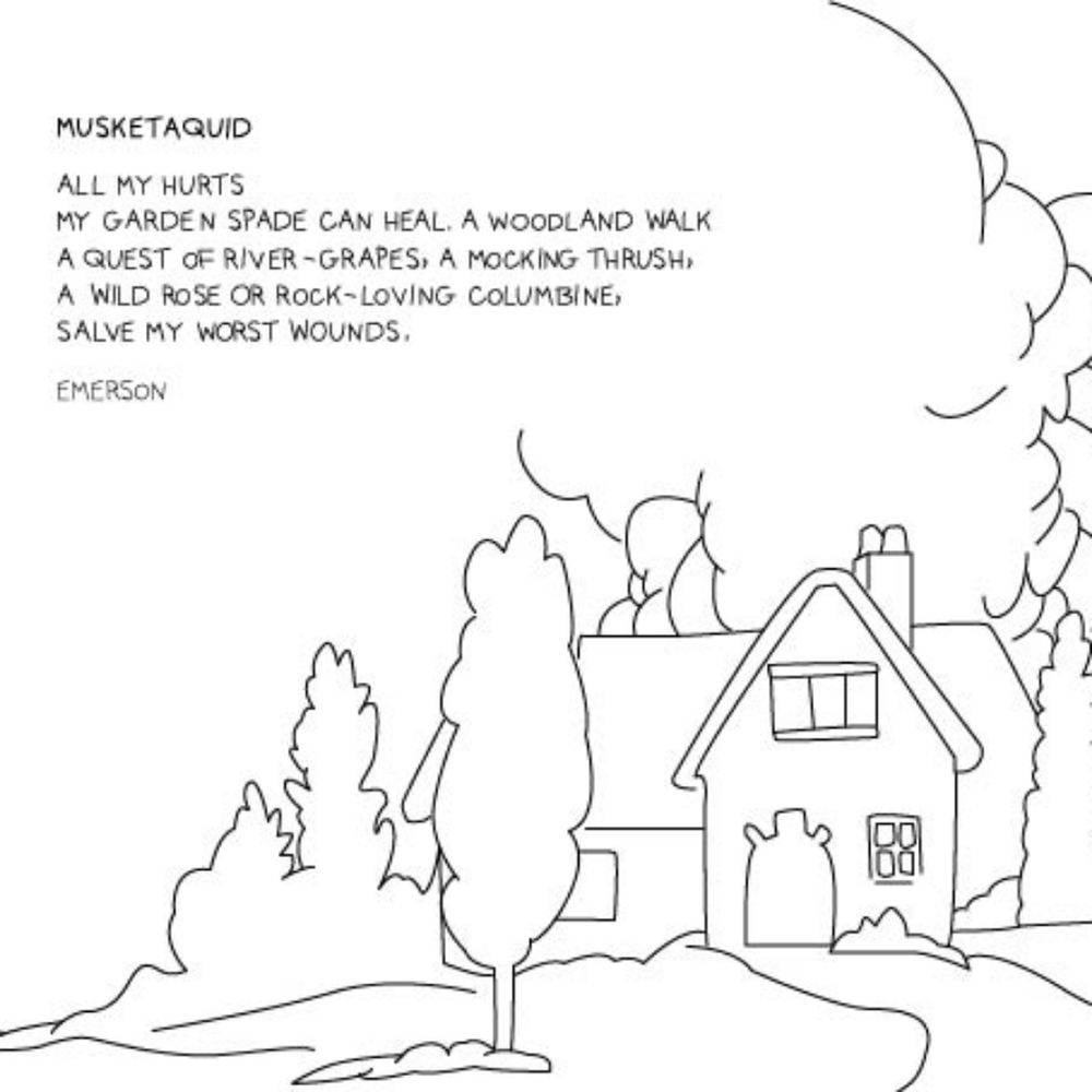 Original print (MUSKETAQUID)